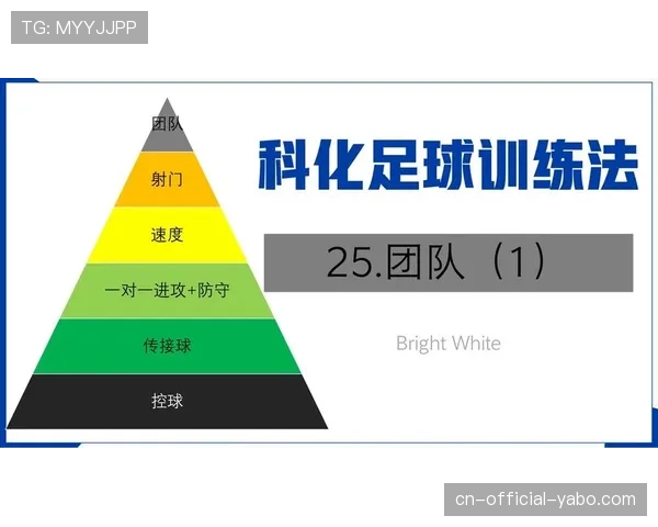 深度报道:升班马伊普斯维奇镇的生存之道——数据分析与团队足球 深度报道:升班马伊普斯维奇镇的生存之道——数据分析与团队足球